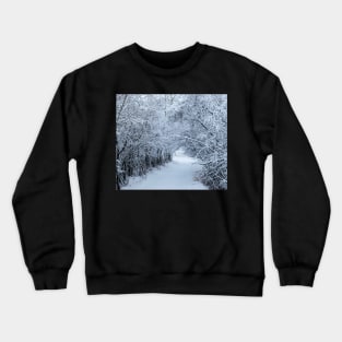 Wintery trail. Crewneck Sweatshirt